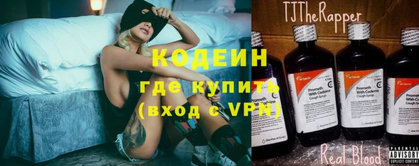ПСИЛОЦИБИНОВЫЕ ГРИБЫ Арсеньев